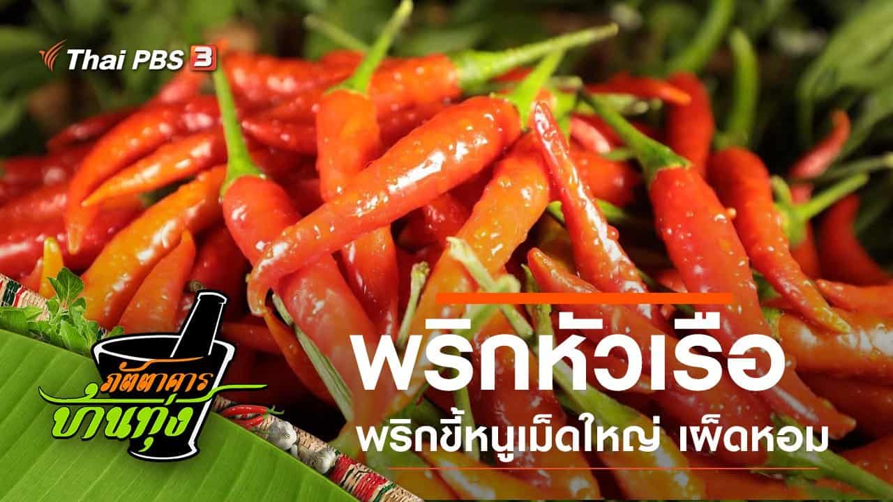 วิธีปลูกพริกขี้หนูหัวเรือ สายพันธุ์ใหม่ สร้างรายได้ยั่งยืน